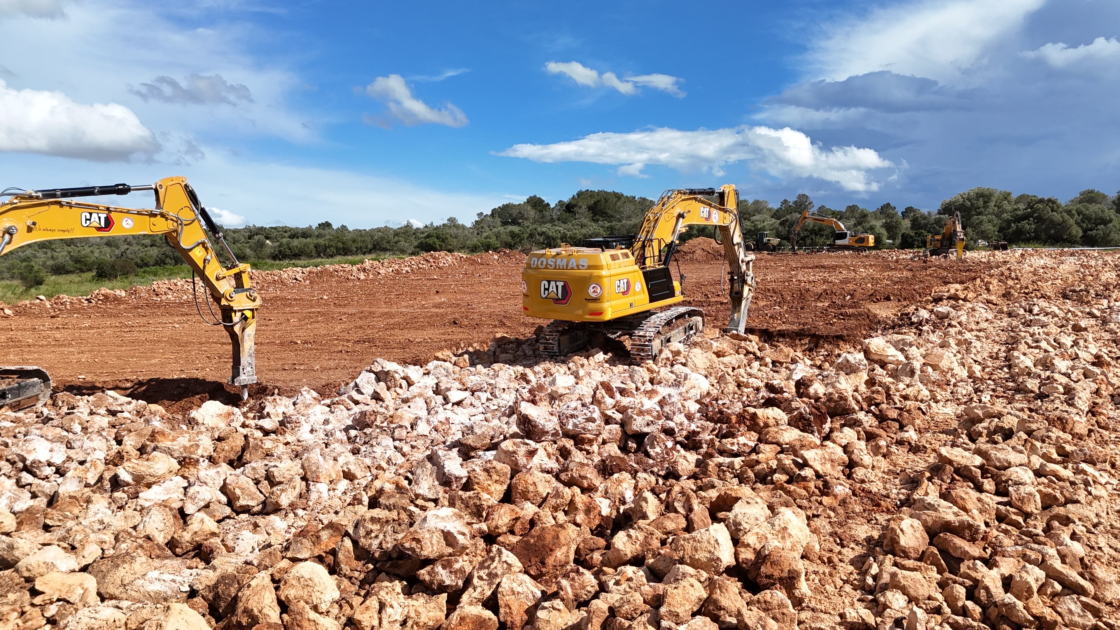 PREPARACIÓN DE TERRENO PARA NUEVA VIÑA EN SON RIBOTET miniatura 6